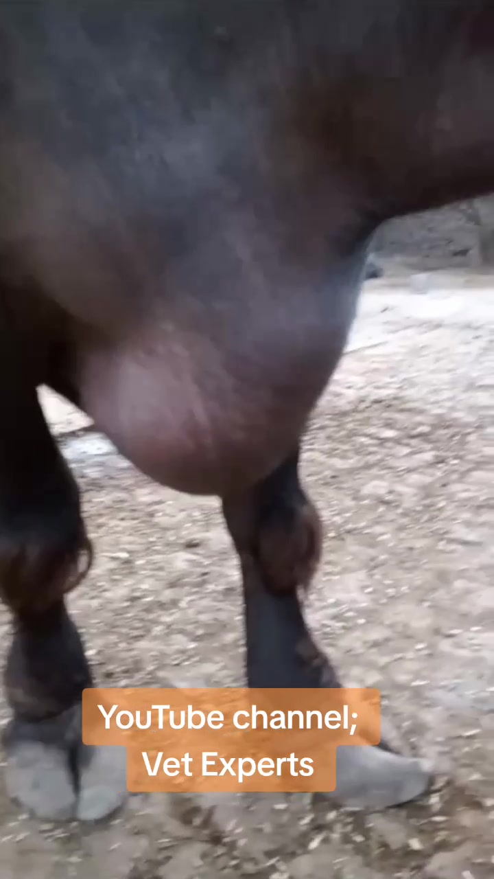 @Dr Abdullah