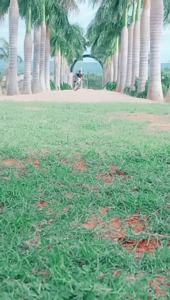 @user052946