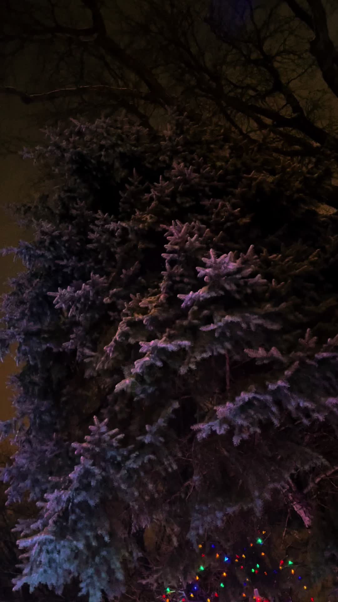 @✨Ⱡυᦔ💜₭