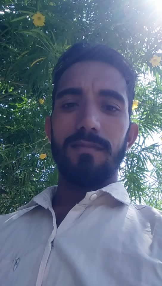 @user231308018496