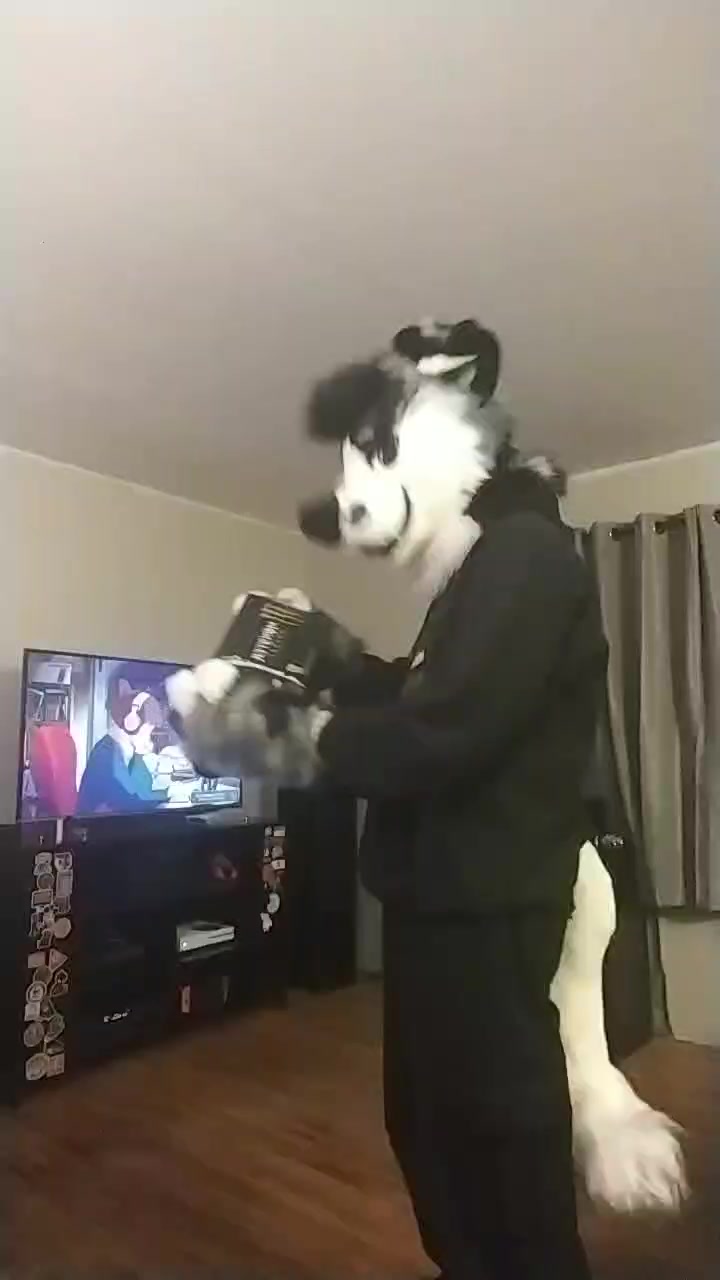 @Ryker_Mutt