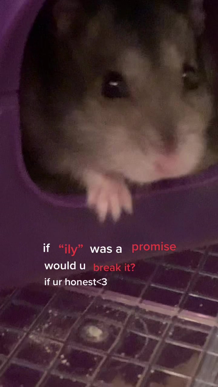 @mabel <3