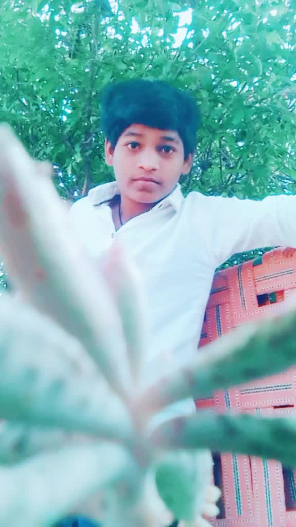 @tamendra Rawat√