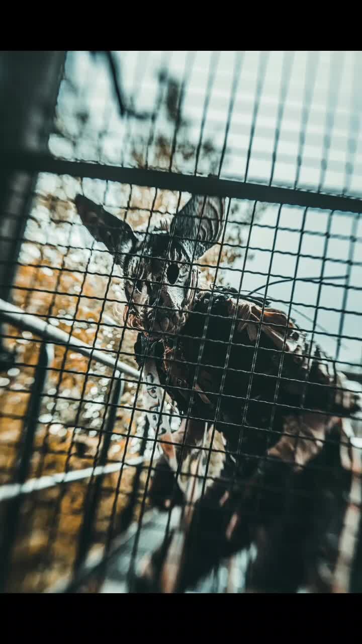 @The Beast 🚦🦇🏹