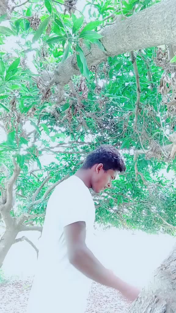 @Bapini Kumar