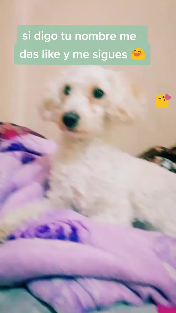 @Princesadulce&mdash;