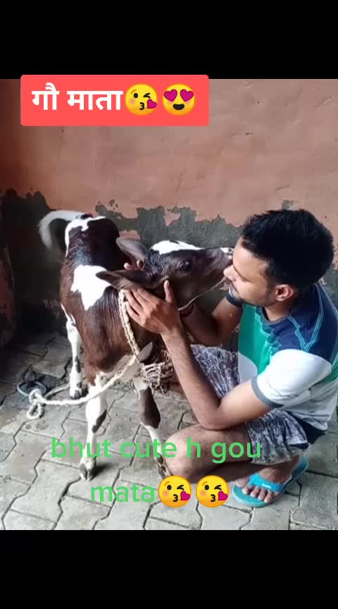 @G u j j a r 007