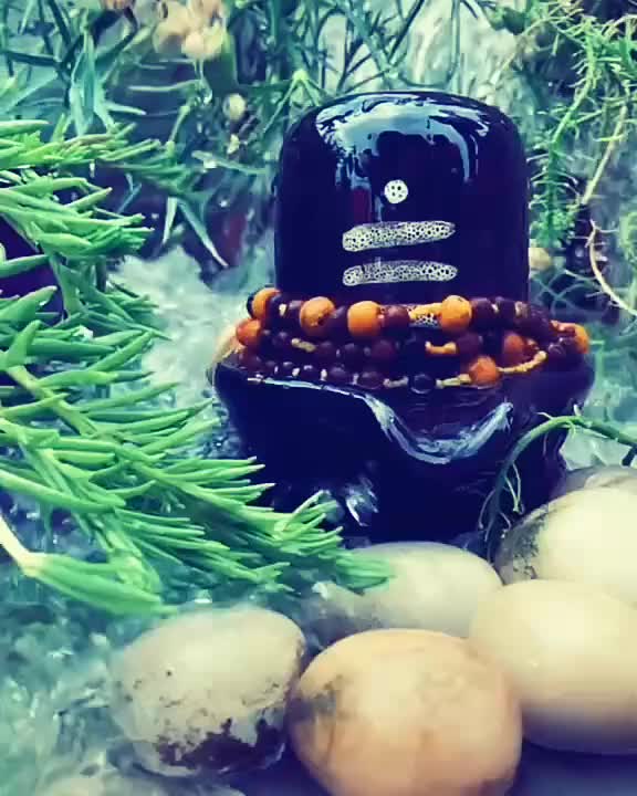 @Sonakshi kushwaha