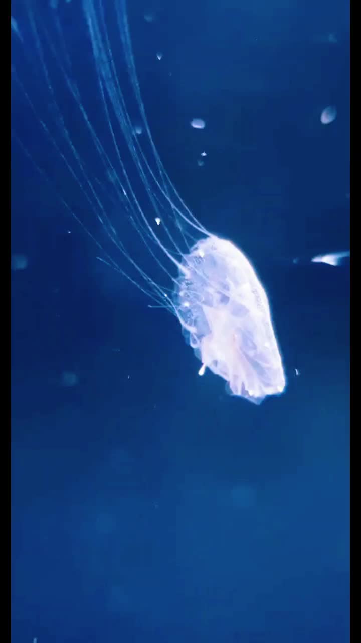@PrettyBanana
