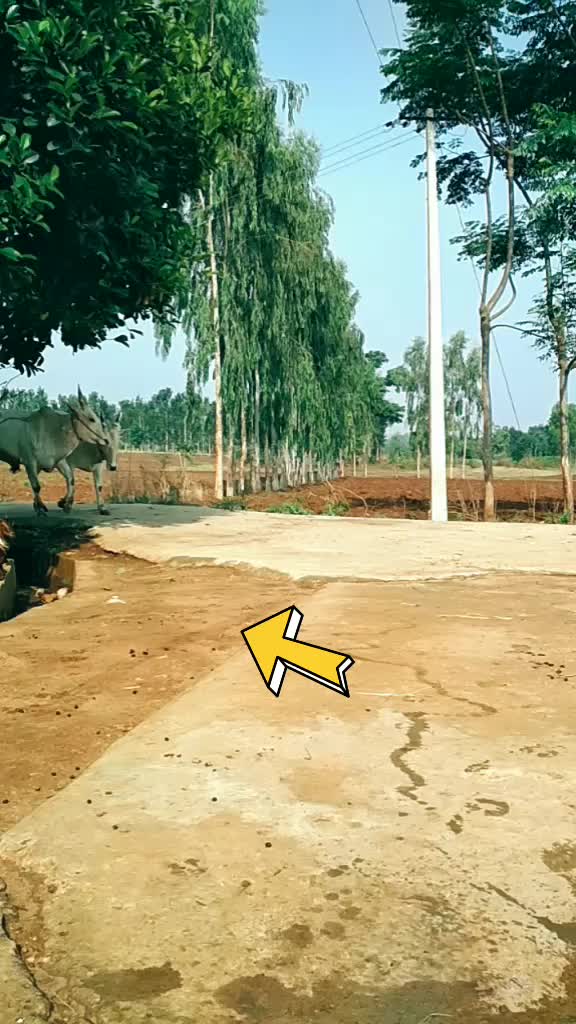 @Ranju Racchu
