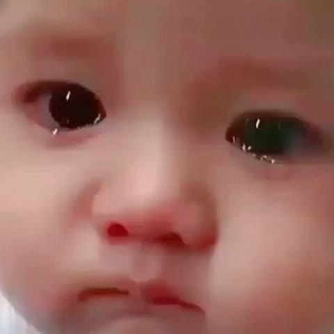 @shabana1776