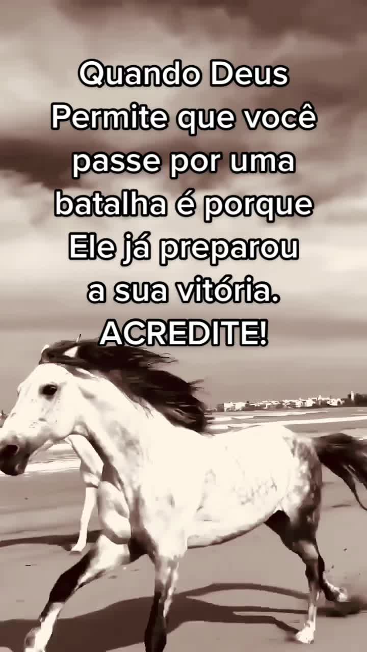 @Marcelo♐️🇧🇷