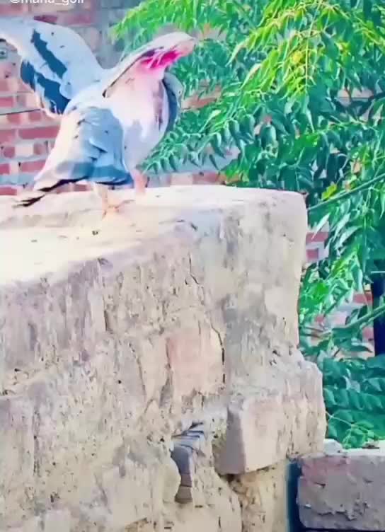 @Naveen Chauhan