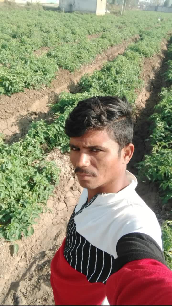 @user4228540112340