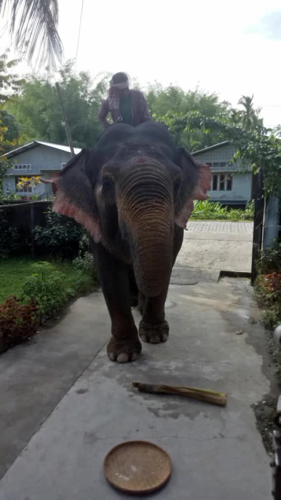 @JuntiUttam