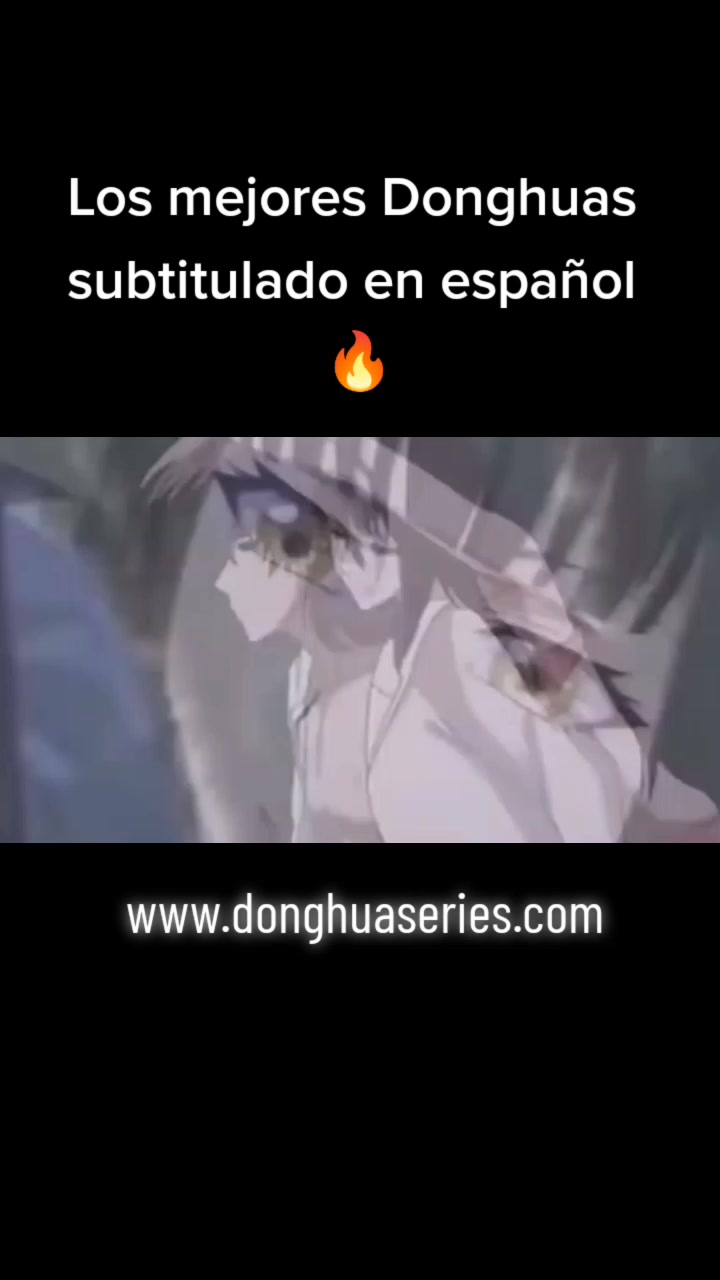 @donghuaseries