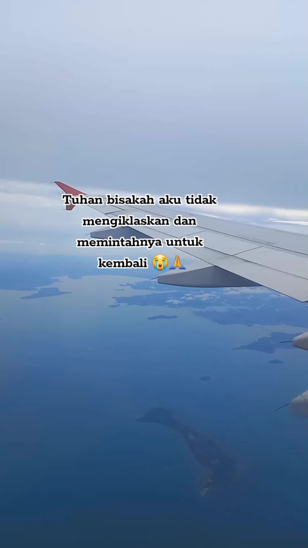 @iliy🦋💍
