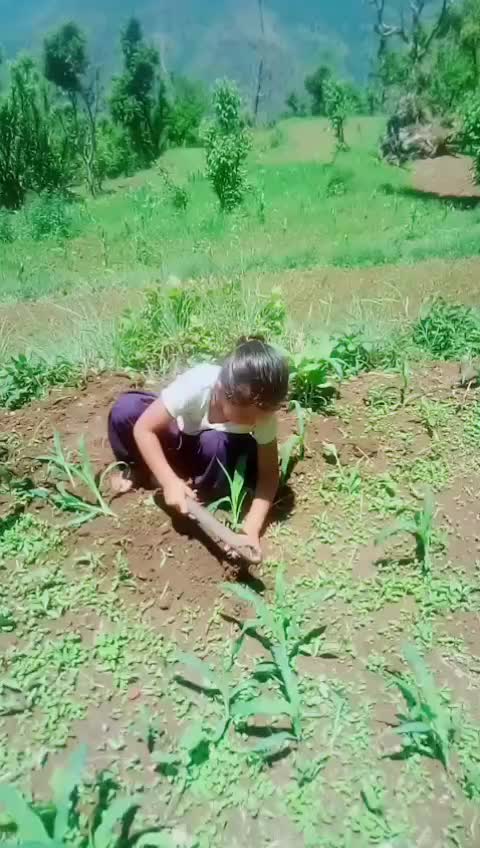 @Ankita chand