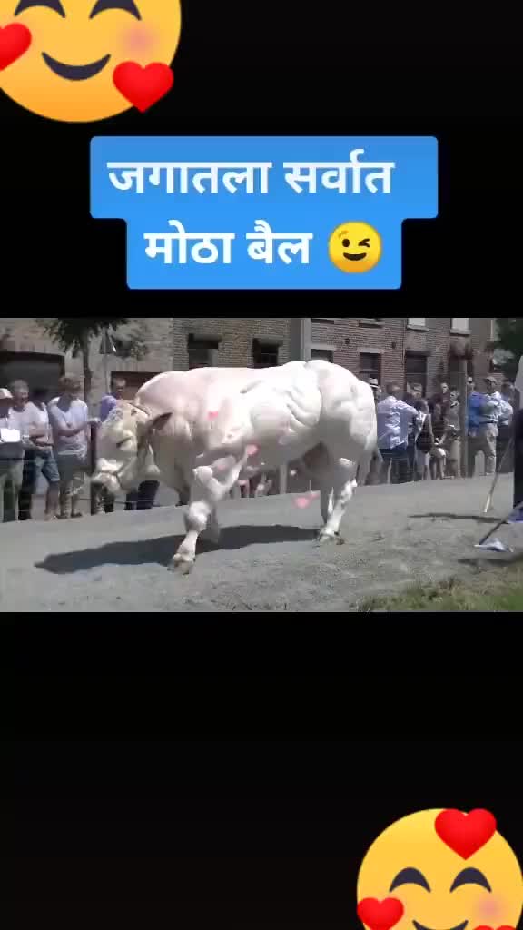 @123456789