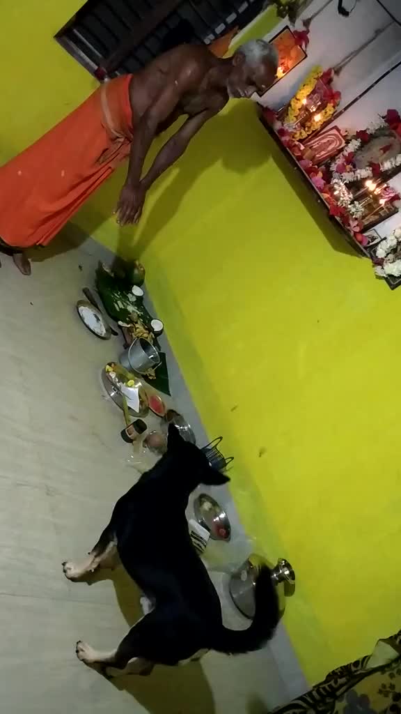 @user235304