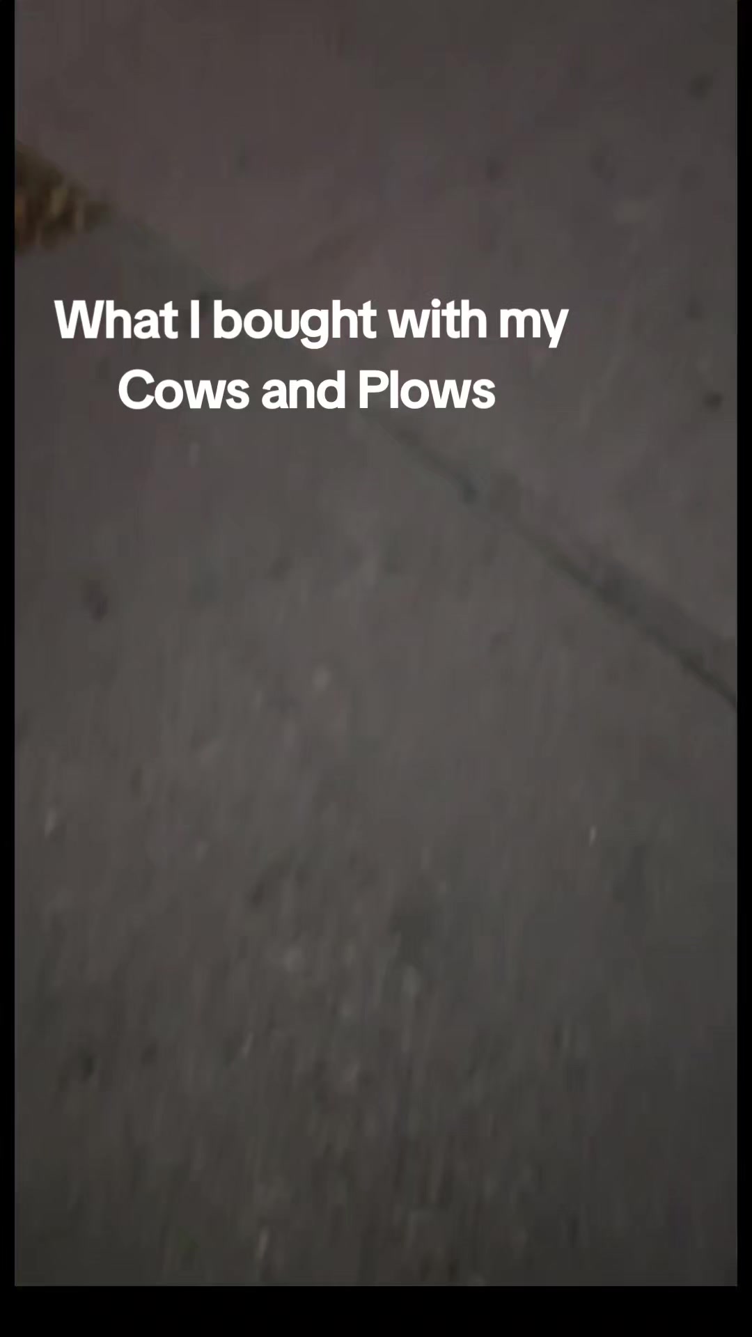 @dabellz
