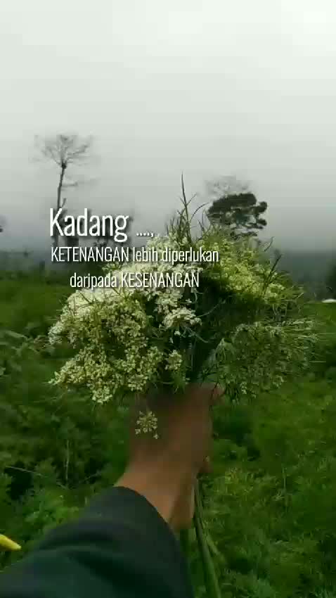@cihuy