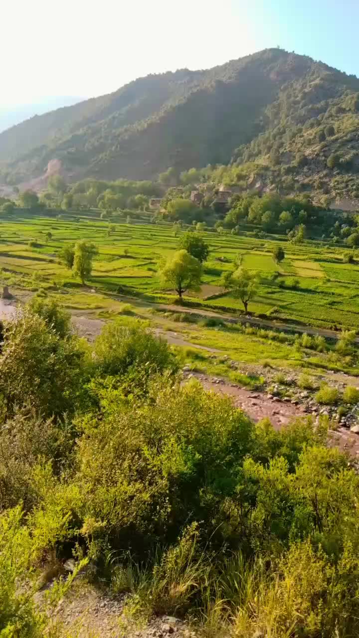 @Satar Khan