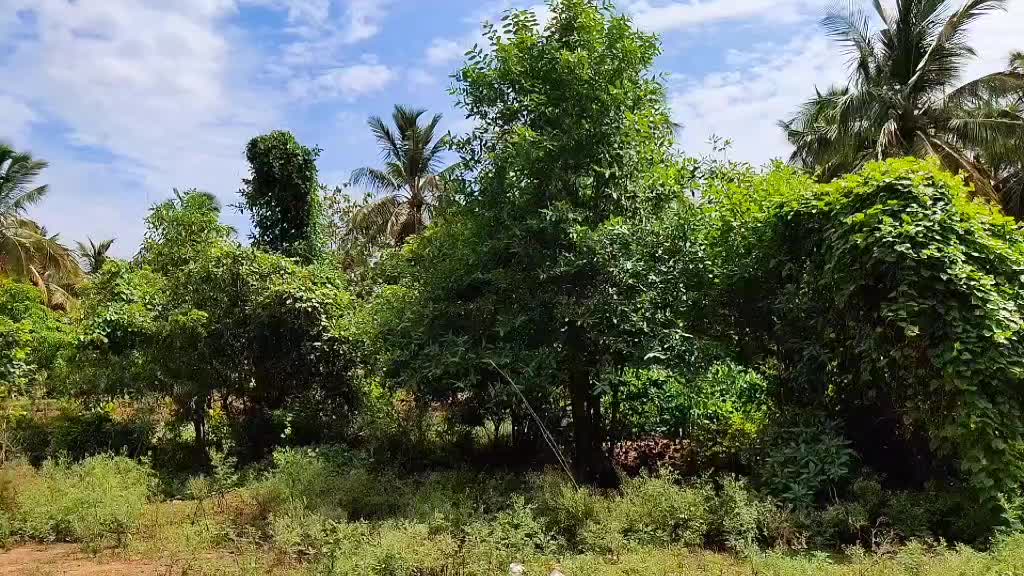 @keerthuuu🧚