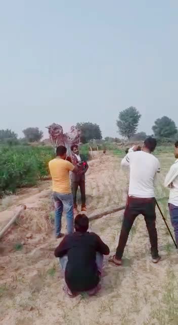 @Devender Devasi