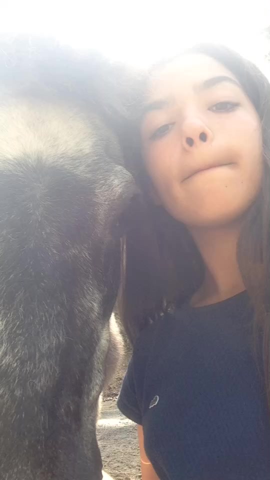 @🐴R&ecirc;ve Compulsif🐴