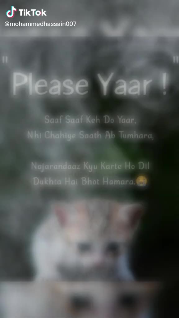 @Rashid07