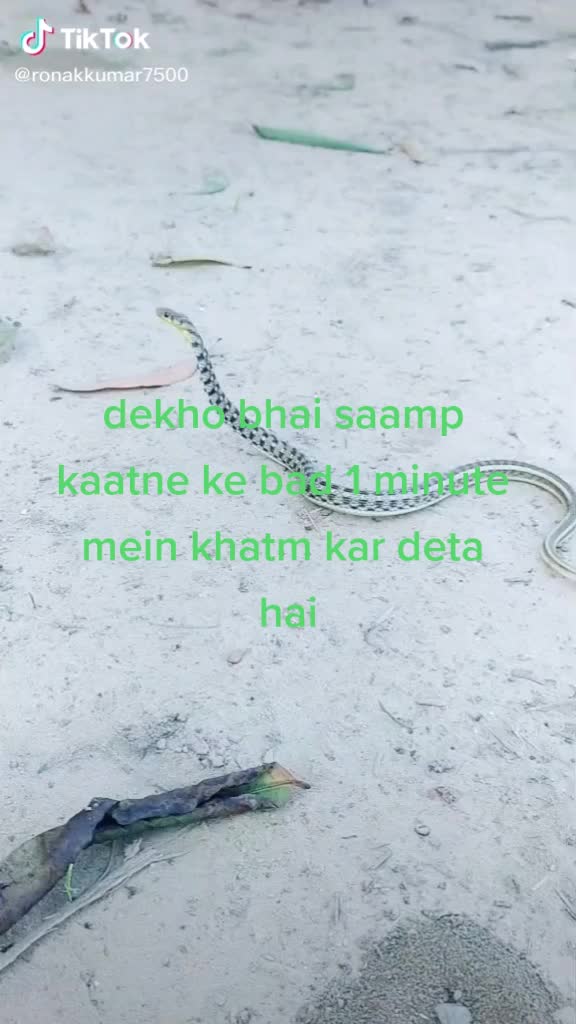 @januhashmi