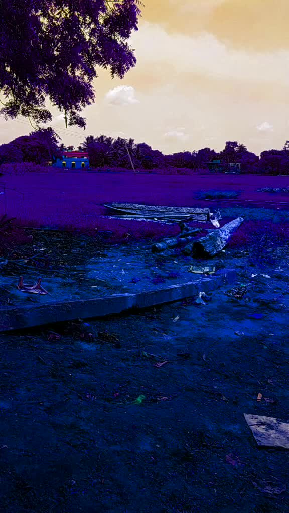 @Kanha Champia
