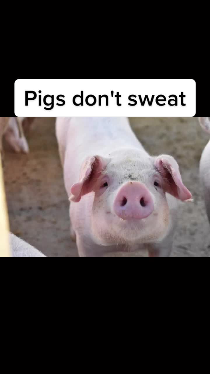 @Did you know that