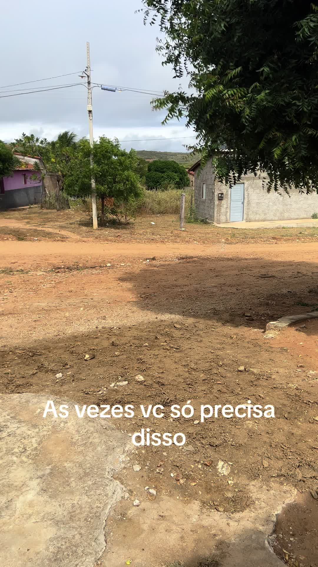 @Mariana Gomes