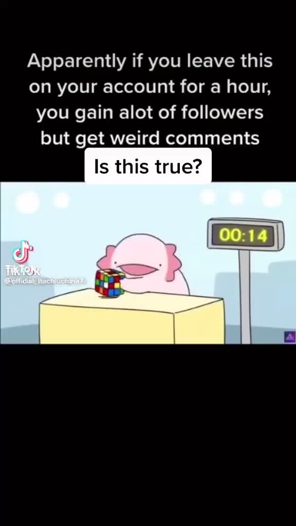 @Ejdgv