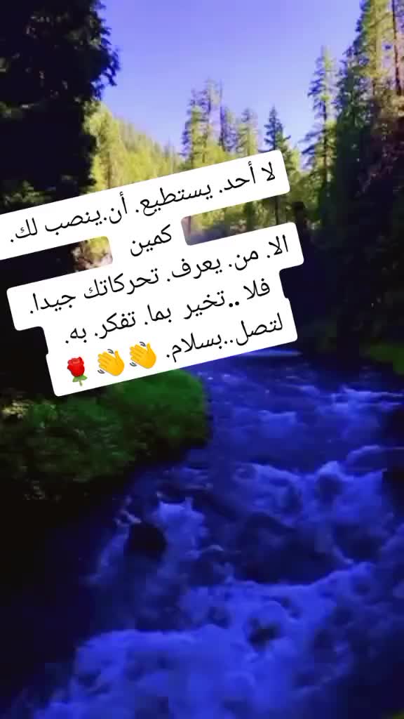 @Moh Mohamed753