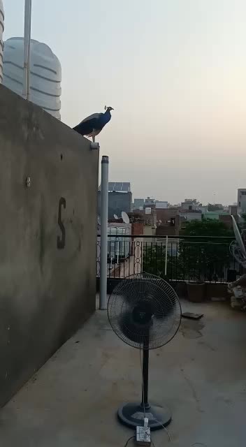 @Jai Kumar
