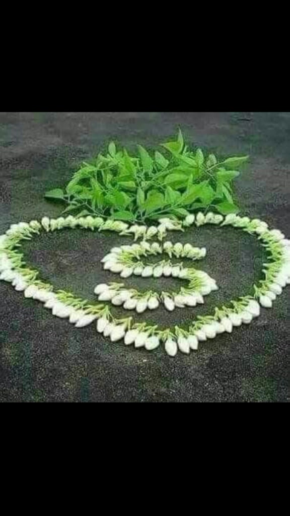 @شاہزیب علی 🥰