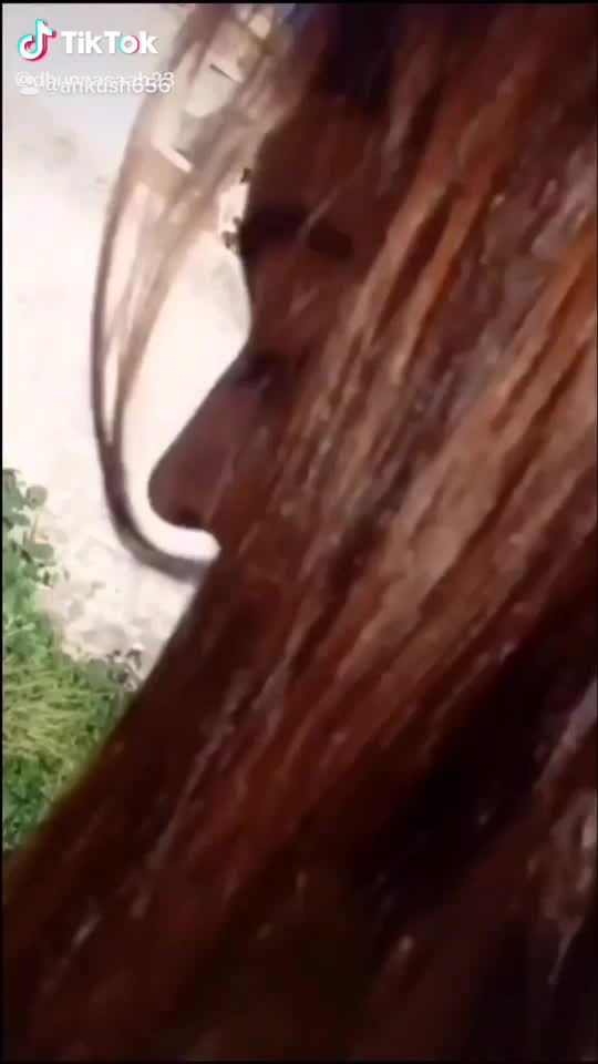 @user2901770524929
