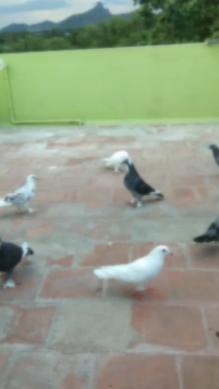 @Kanaga Raj