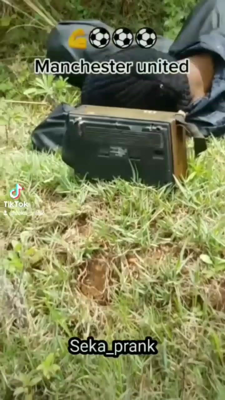 @user44366869534