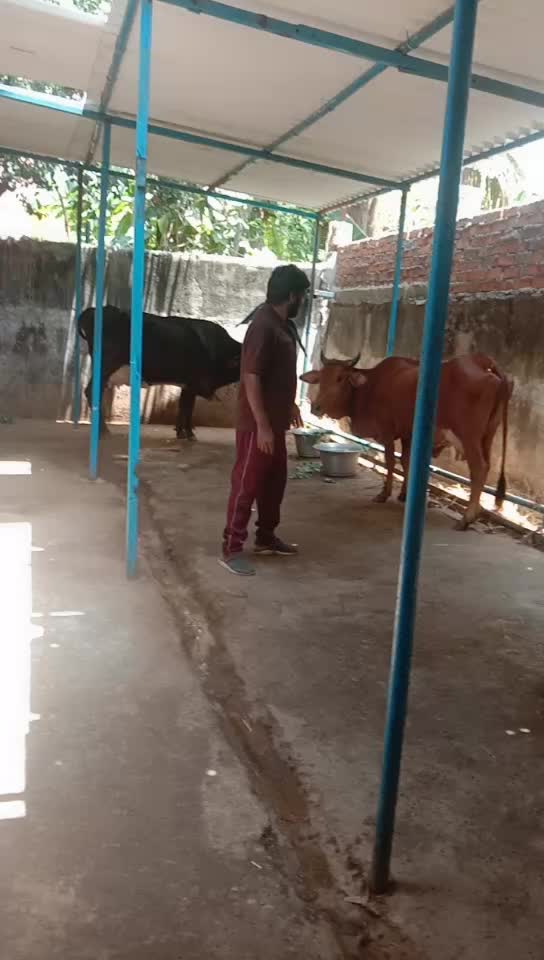 @Parthi Ban
