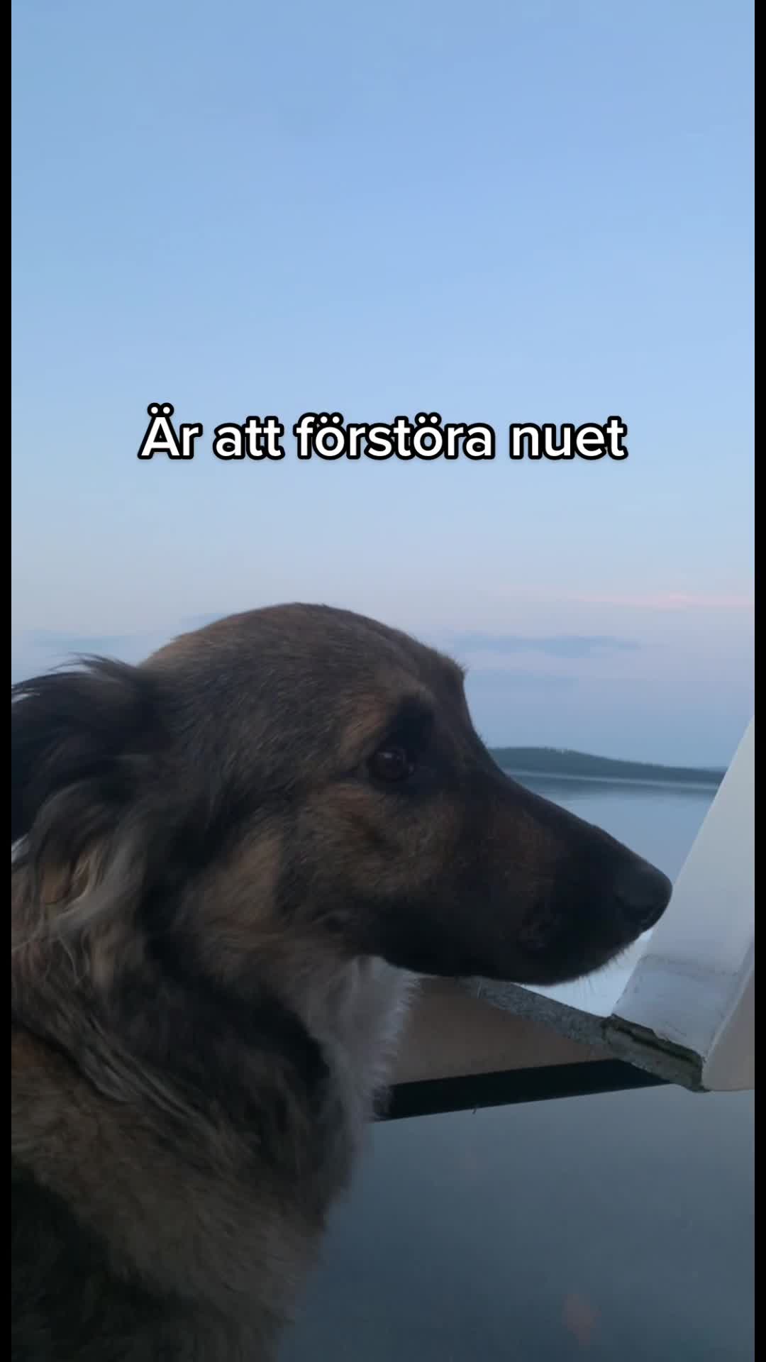 @EliasBergström