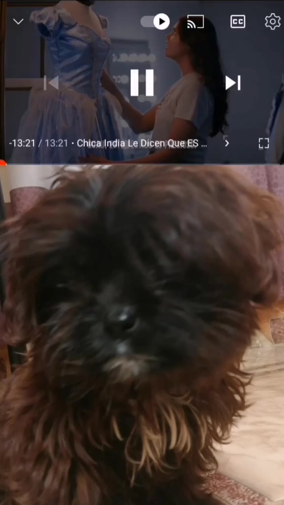 @🐕Meta : 90K