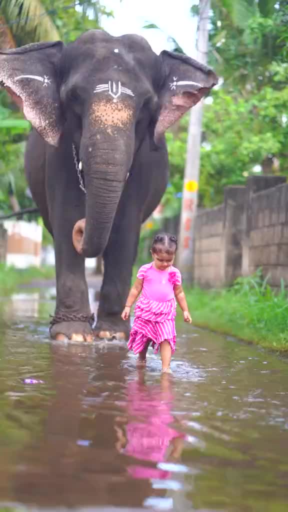 @Kumanan Adhithya