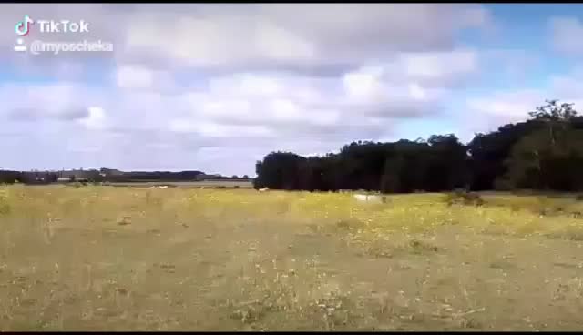 @user4726452601340