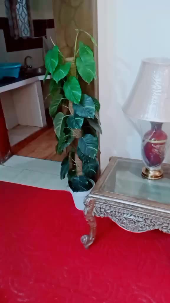 @waqas saqi422