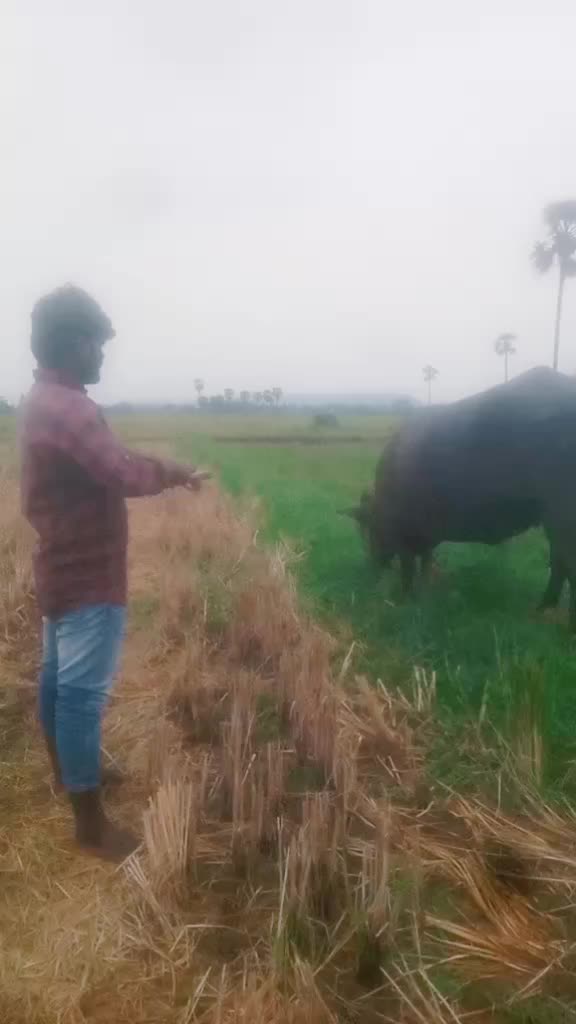 @Chakradhar