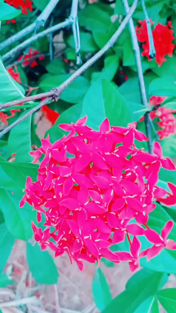 @Santhosh Kumar
